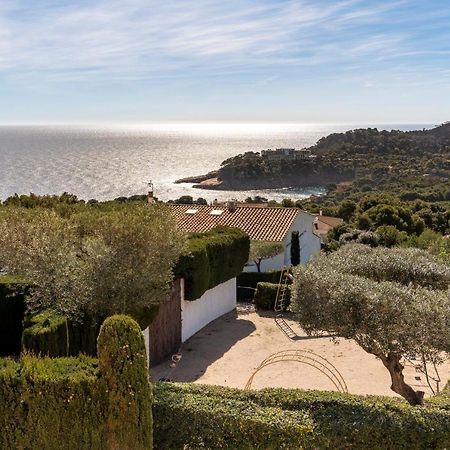 Alta House Apartments Sa Blava Begur Buitenkant foto